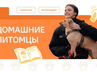 "Разговоры о важном": Учимся ответственности и любви к братьям нашим меньшим